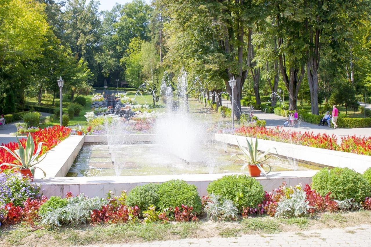 Pensiunea Magic Băile Govora Exterior foto