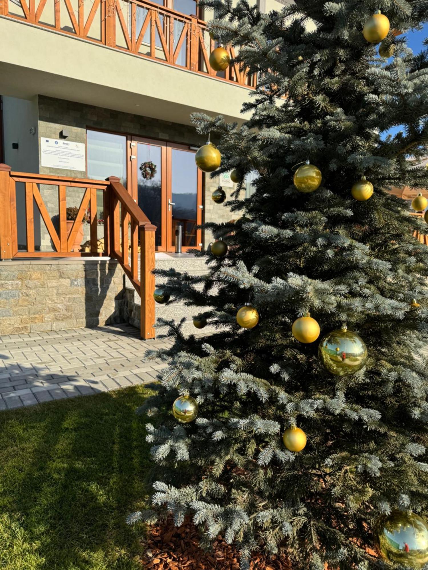 Pensiunea Magic Băile Govora Exterior foto